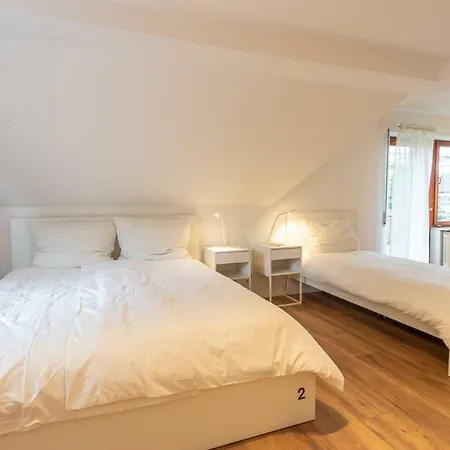 City-house-buehl *